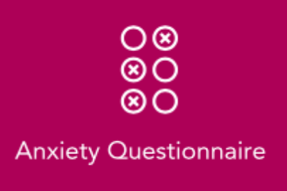 Anxiety Questionnaire